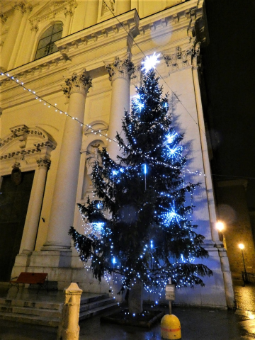Acceso l'albero di Natale in Piazza S. Maria