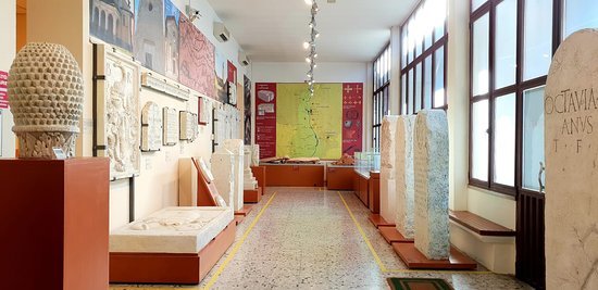 Alla scoperta della storia e dell'archeologia: Museo del Risorgimento e Past aperti su prenotazione